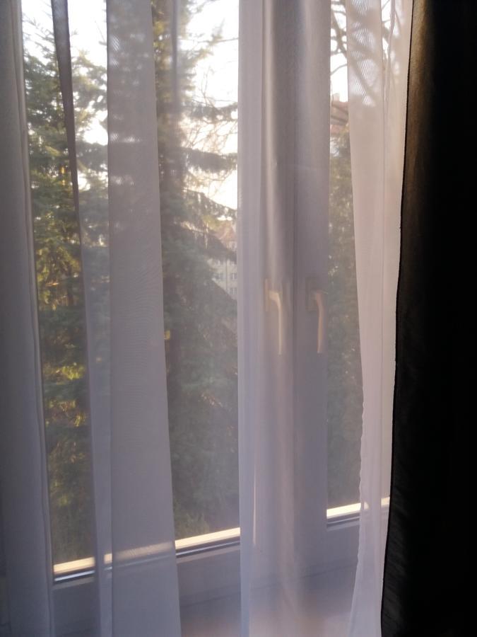 Lawendowy Hostelクラクフ エクステリア 写真