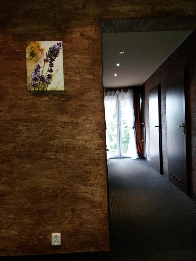 Lawendowy Hostelクラクフ エクステリア 写真