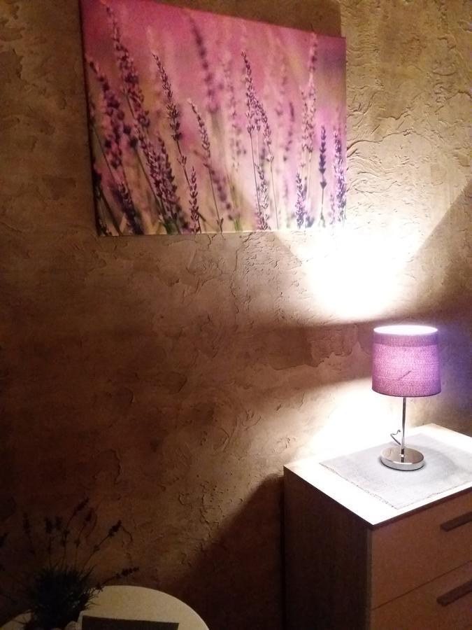 Lawendowy Hostelクラクフ エクステリア 写真