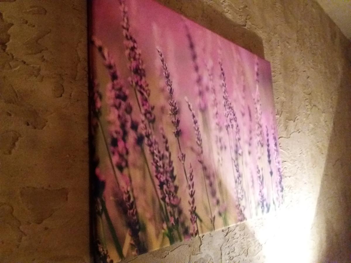 Lawendowy Hostelクラクフ エクステリア 写真
